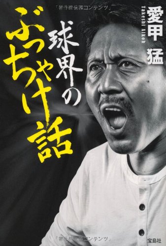 愛甲猛 『球界のぶっちゃけ話』 - 昼の軍隊